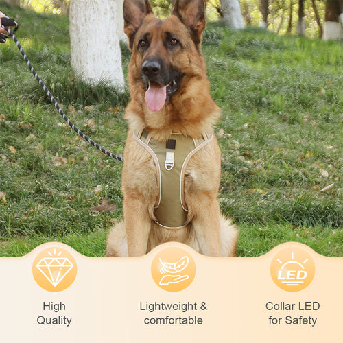 🐶 LED No-Pull Dog Harness Kit with Leash – Safer, More Comfortable Walks Day & Night