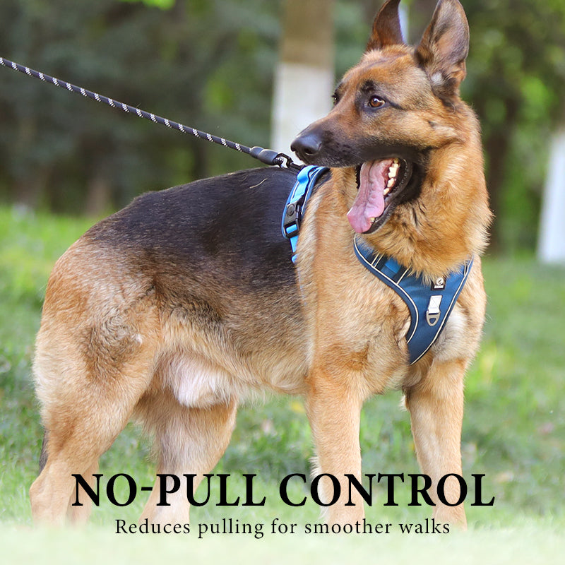 🐶 LED No-Pull Dog Harness Kit with Leash – Safer, More Comfortable Walks Day & Night