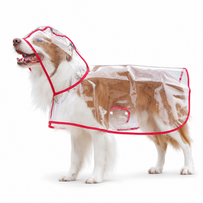 🌧️ LIMITED-TIME 50% OFF! 🐾 Transparent Waterproof Dog Raincoat – Clear Hood, Adjustable Fit, Multi-size 🐶